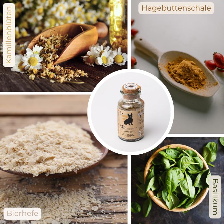 Wild&Seed 02 Fellschein