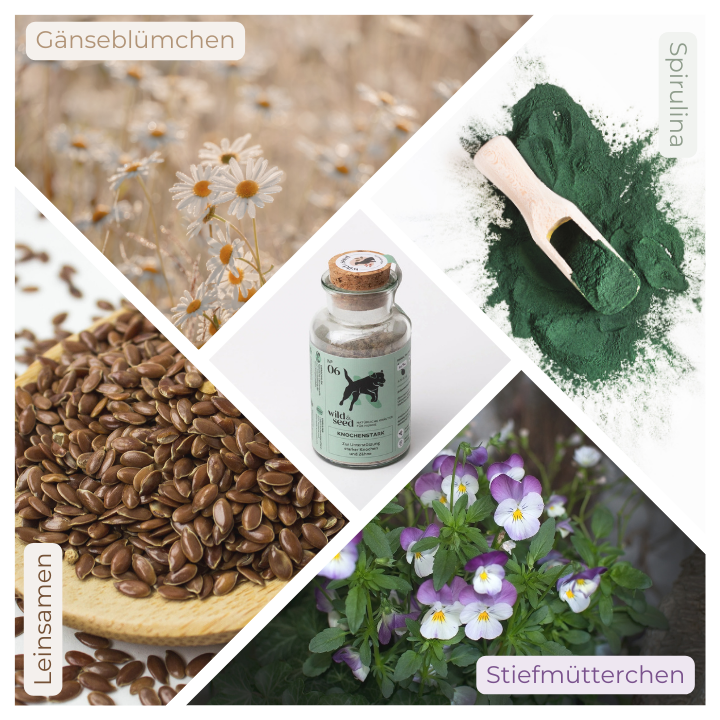 Wild&Seed 06 Knochenstark