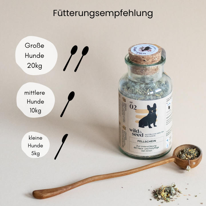 Dosierung Kräuter für Hunde