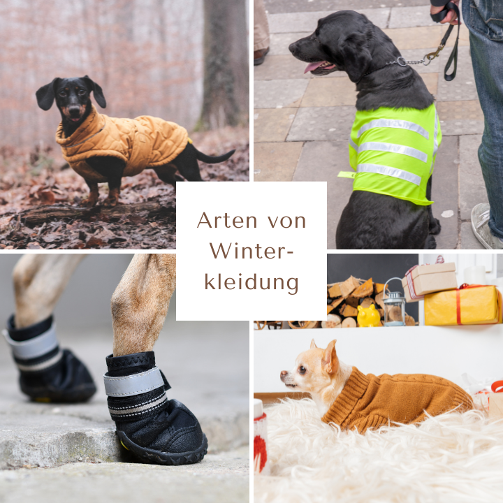Arten von Winterbekleidung für Hunde