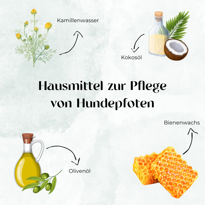 Hausmittel zur Pflege von Hundepfoten