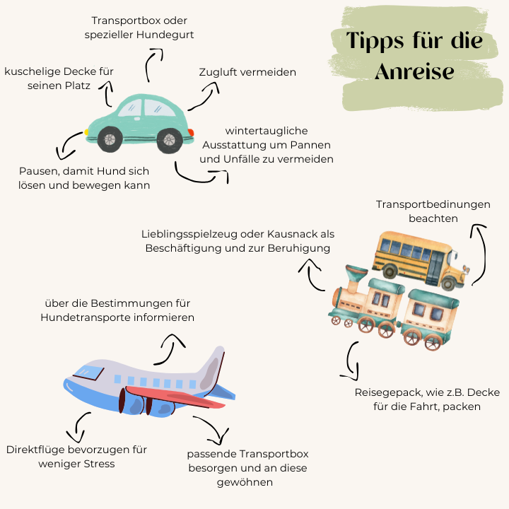 Tipps für die Anreise in Winterurlaub mit Hund