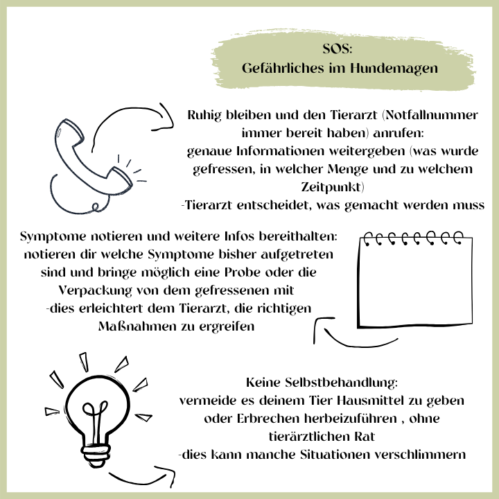 SOS-Gefährliches im Hundemagen