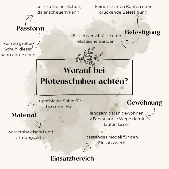 Worauf bei Pfotenschutz für Hunde achten?