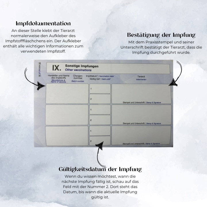 EU-Heimtierausweis sonstige Impfungen