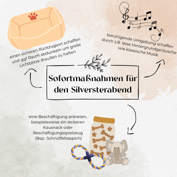 Sofortmaßnahmen für den Silvesterabend mit Hund