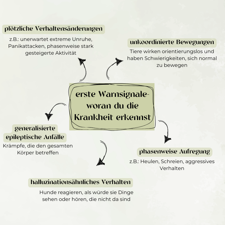 erste Warnzeichen-woran du die Krankheit erkennst