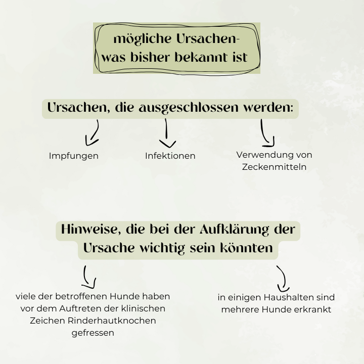 mögliche Ursachen was bisher bekannt ist