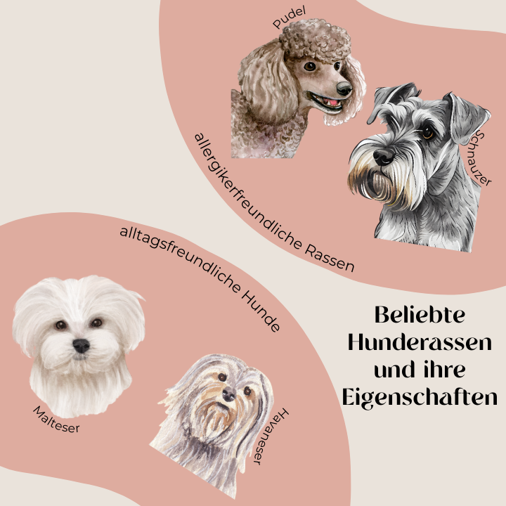 Beliebte Hunderassen und ihre Eigenschaften