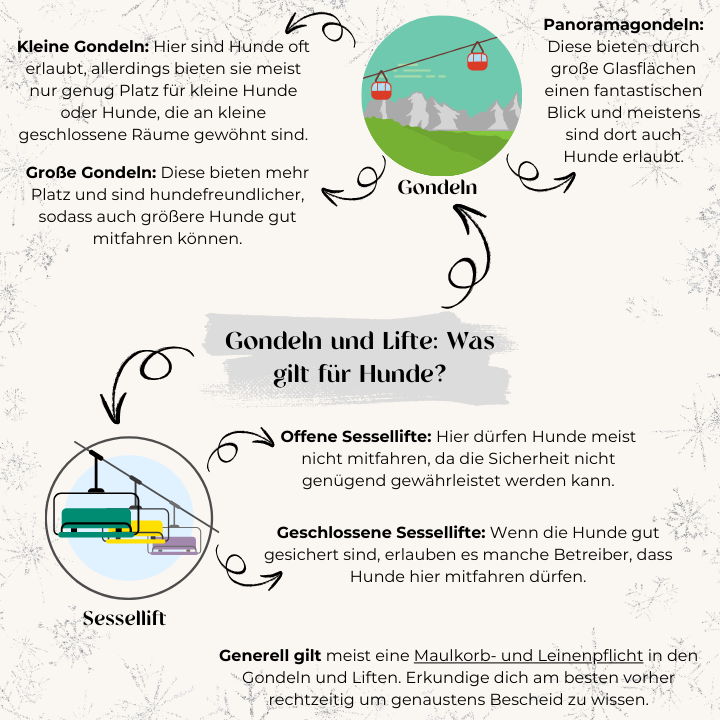 Gondeln und Lifte: Was gilt für Hunde?