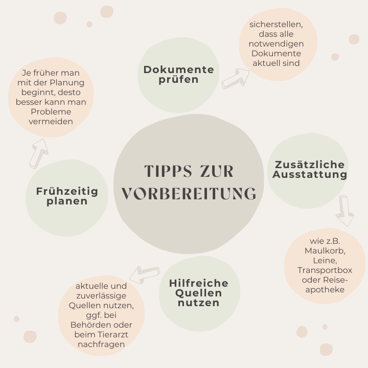 Tipps zur Vorbereitung