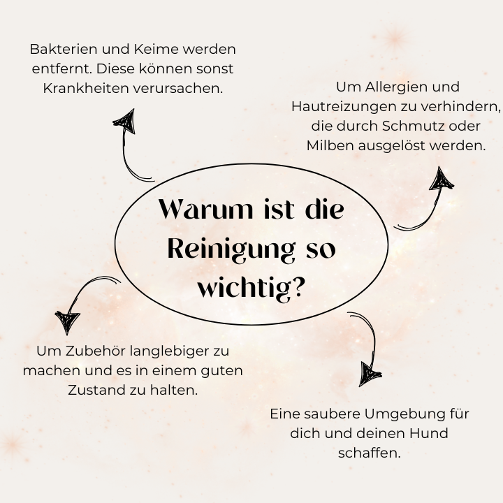 Warum ist die Reinigung so wichtig?