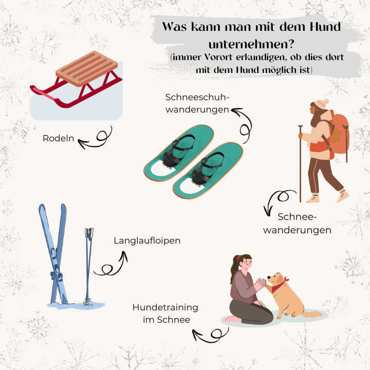 Was kann man mit dem Hund unternehmen?