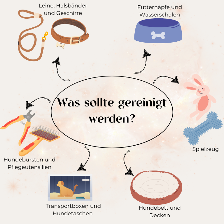 Was sollte gereinigt werden?
