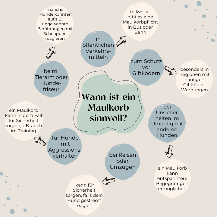 Wann ist ein Maulkorb sinnvoll?