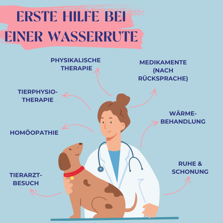 Erste Hilfe bei einer Wasserrute