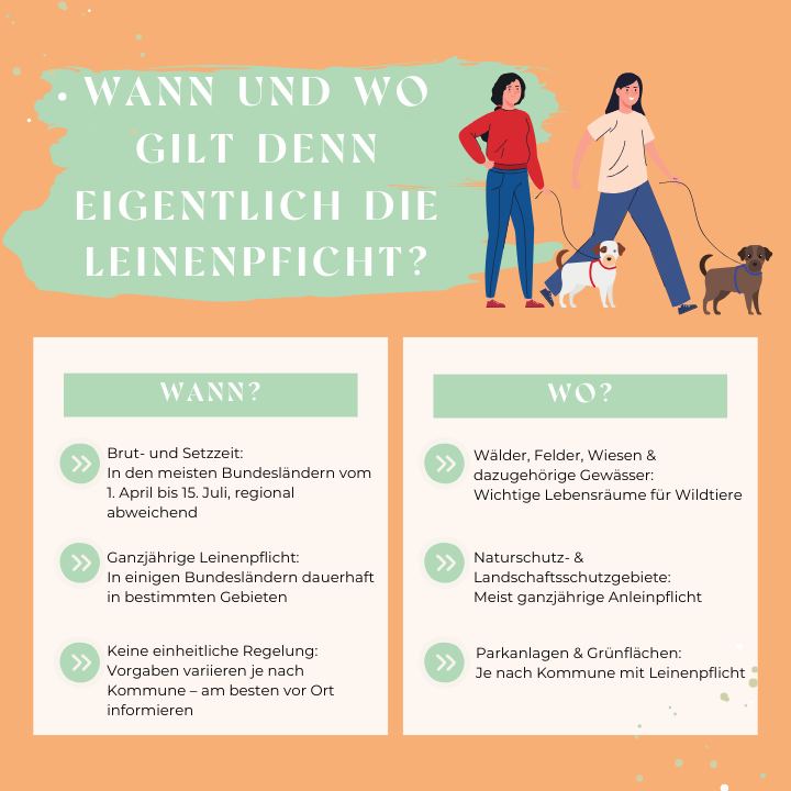 Wann und wo gilt denn eigentlich die Leinenpflicht?