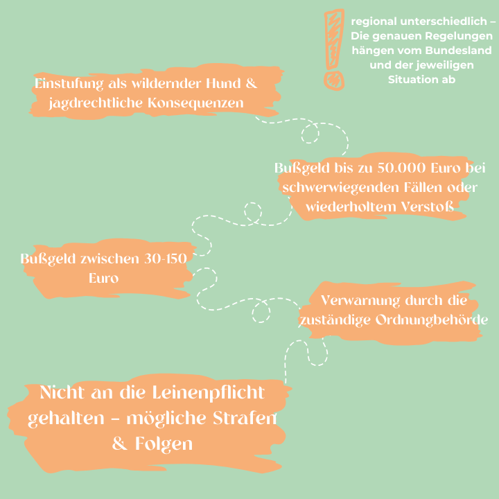 Nicht an die Leinenpflicht gehalten: mögliche Strafen und Folgen