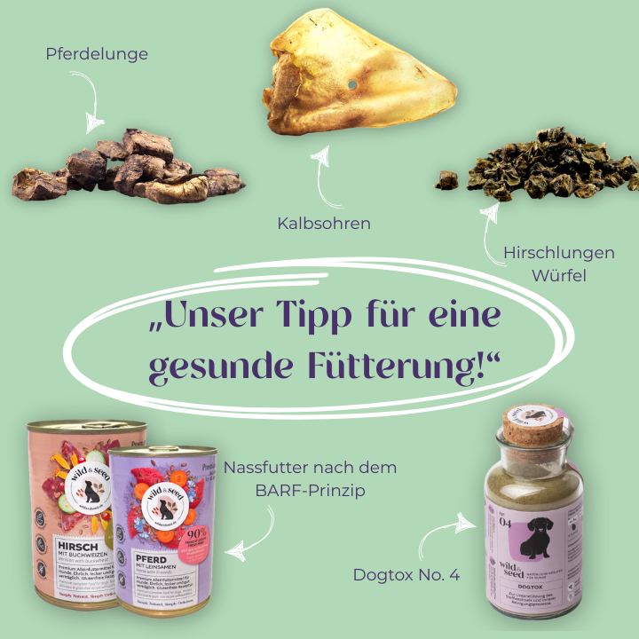 Unsere Tipps für eine gesunde Fütterung