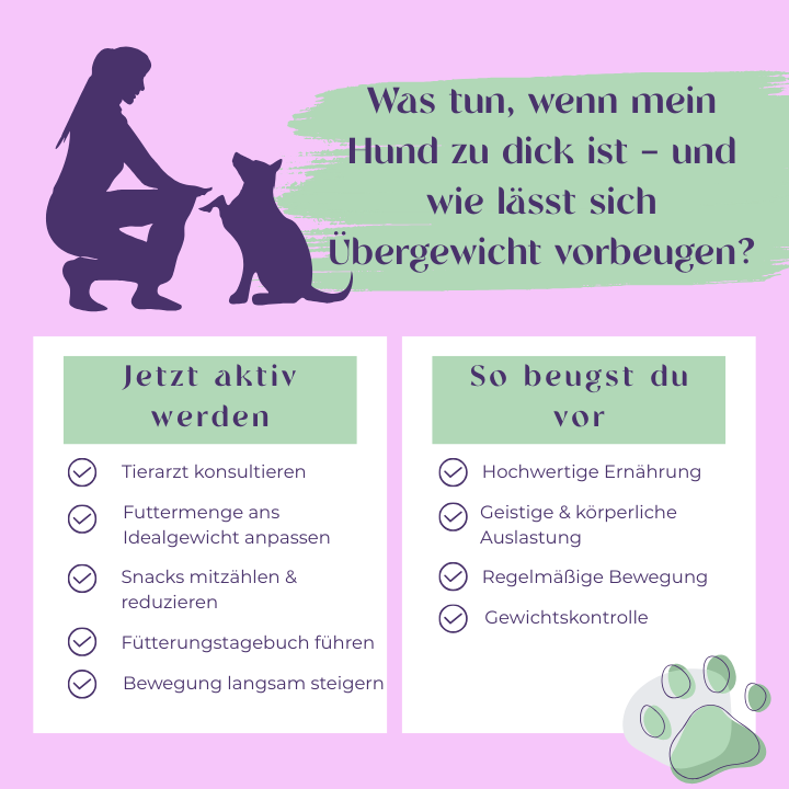 Was tun wen mein Hund zu dick ist- und wie lässt sich Übergewicht vorbeugen