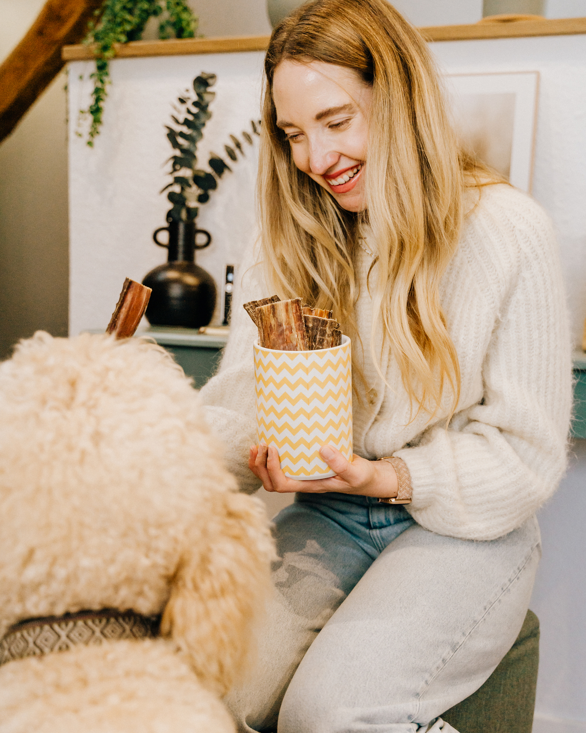 Natuerliche Zahnpflege Kausnack fuer Hunde- Welche helfen wirklich?