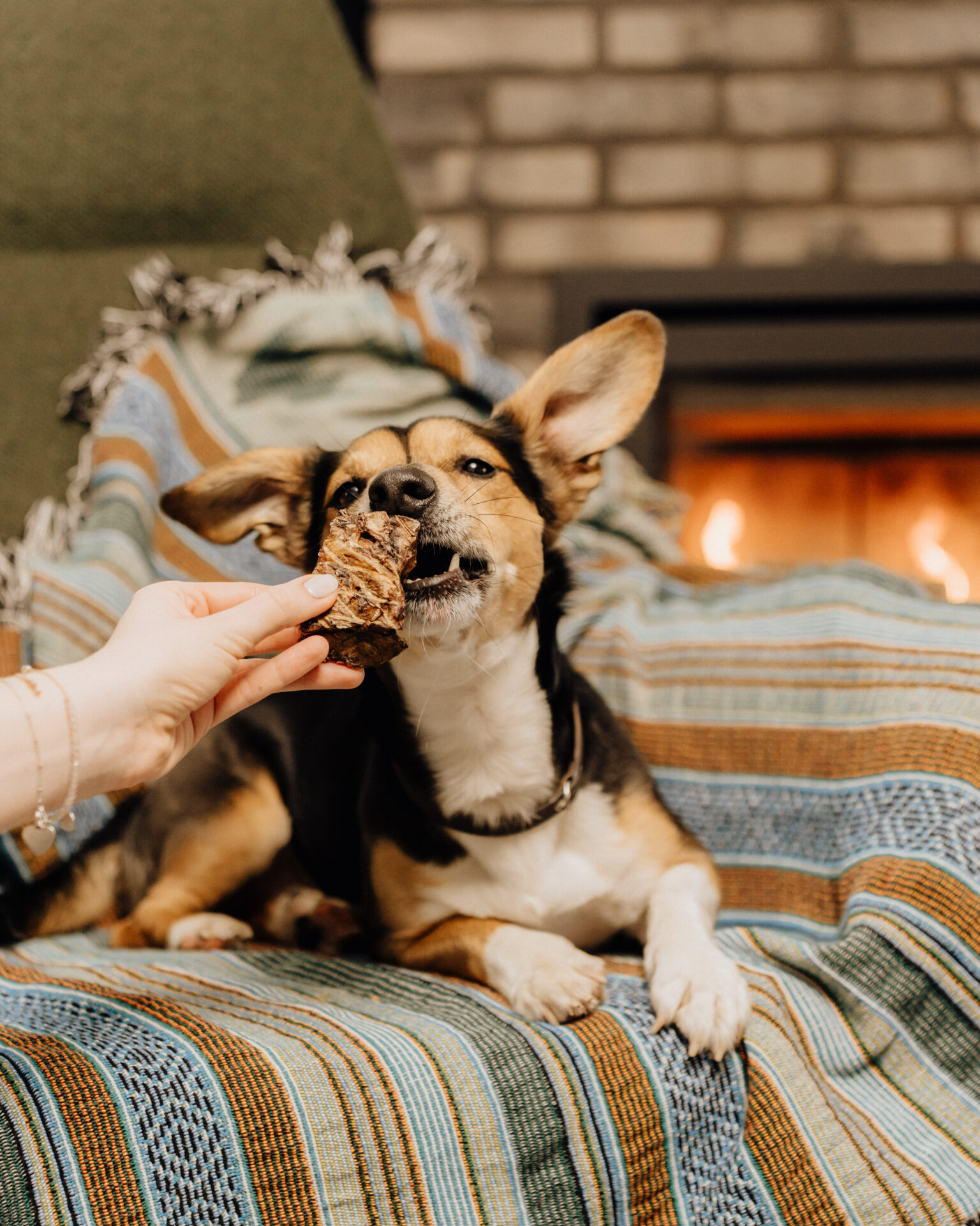Monoprotein-Kausnacks für Hunde