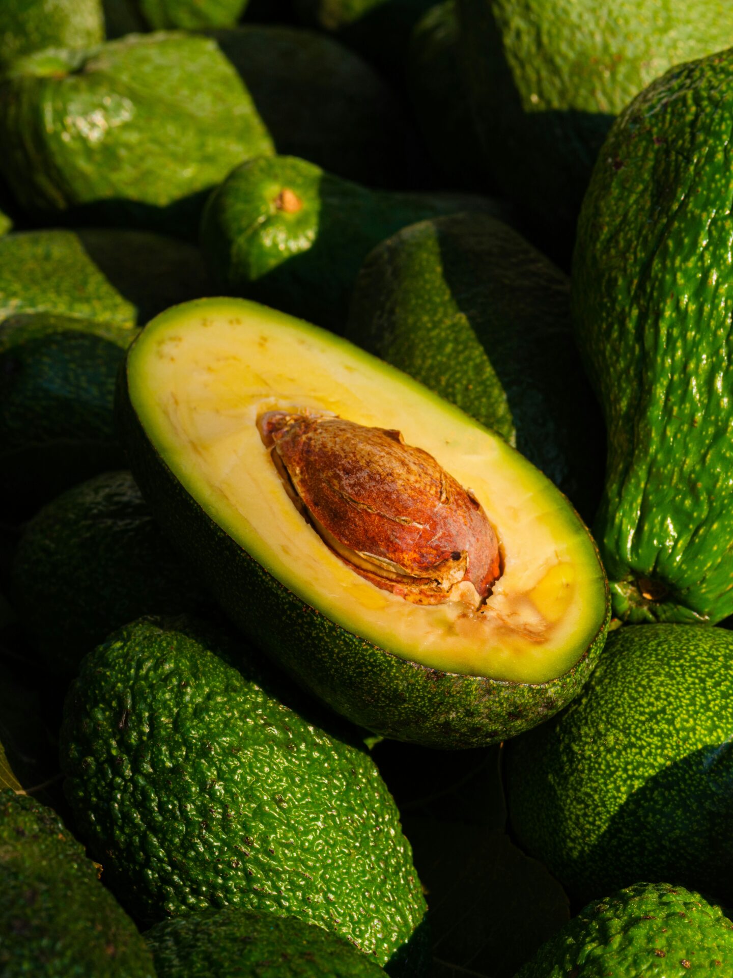 Dürfen Hunde Avocado essen? - Superfood oder Supergefährlich?