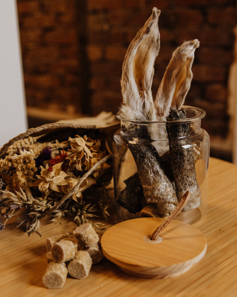 Bevor mein Hund eine Allergie bekommt – Tipps für eine verträgliche Ernährung